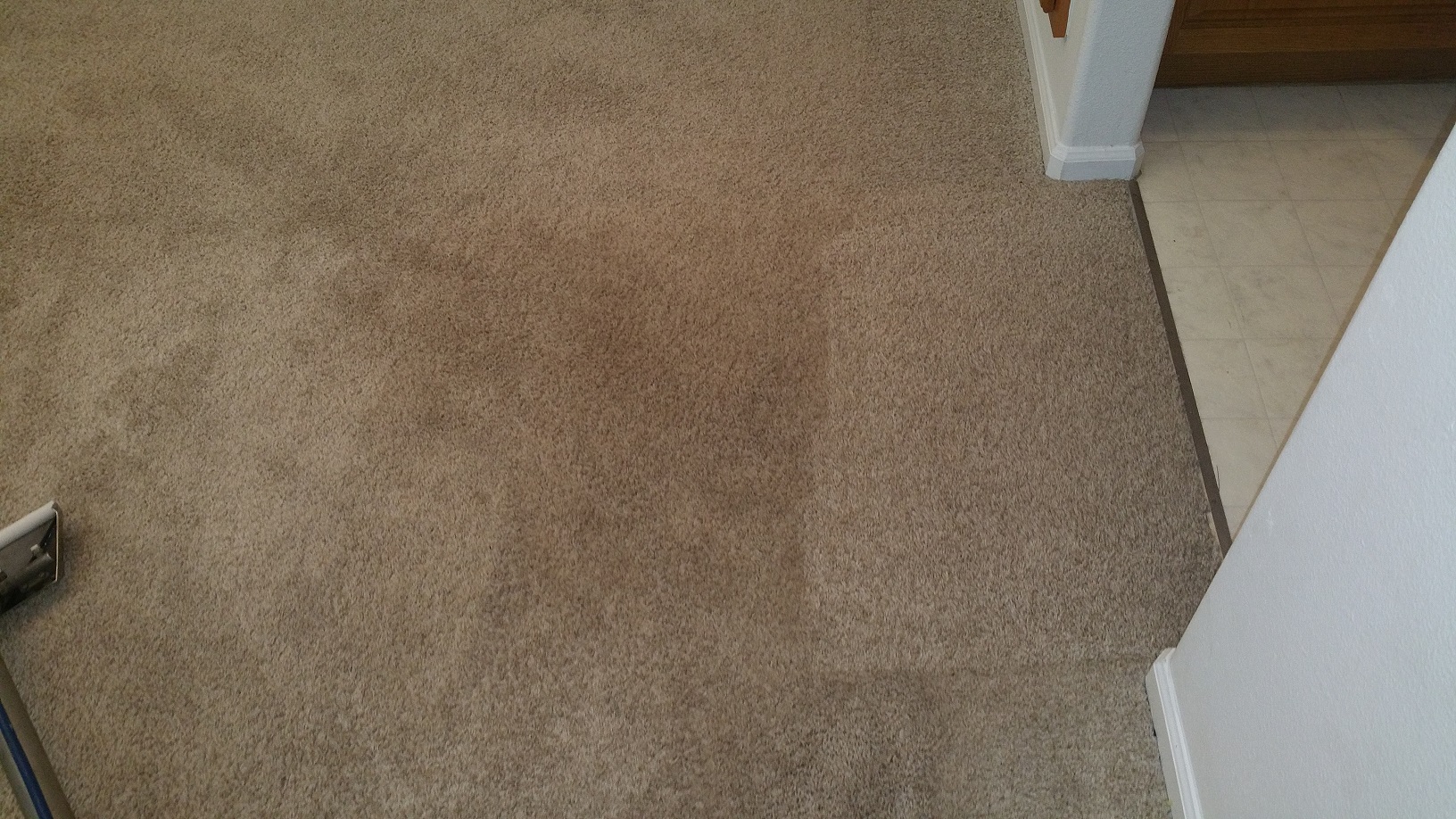carpet-difference